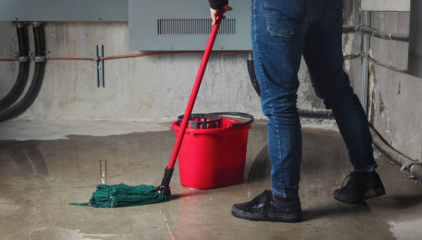 Best Ceiling water damage repair  in Jefferson City, MO