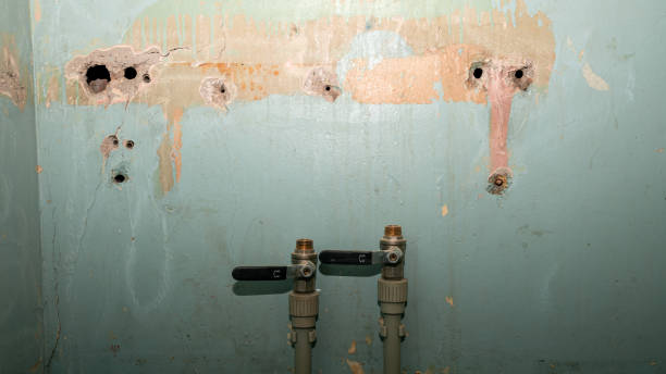 Best Water damage restoration insurance claims  in Jefferson City, MO