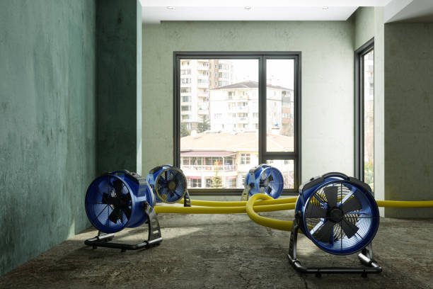 Best 24-hour water damage restoration  in Jefferson City, MO